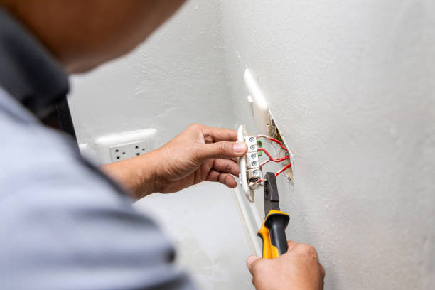Best Ceiling Fan Installation Electrician  in Denver, IA